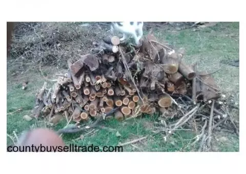 mulberry firewood